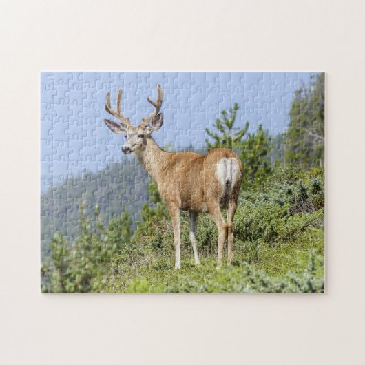 Majestic Deer Legpuzzel (Horizontaal)