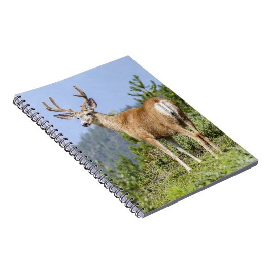 Majestic Deer Notitieboek (Rechterzijde)