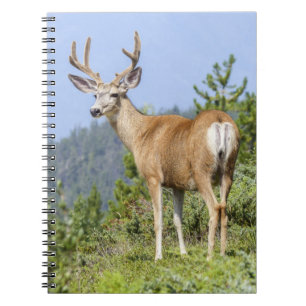 Majestic Deer Notitieboek