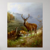 Majestic Deer ~ Poster (Voorkant)