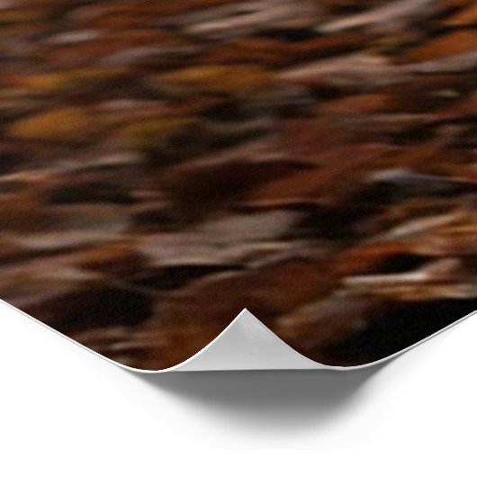 Majestic Deer  Poster (Hoek)