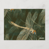 Majestic Dragonfly Pattern Briefkaart (Achterkant)