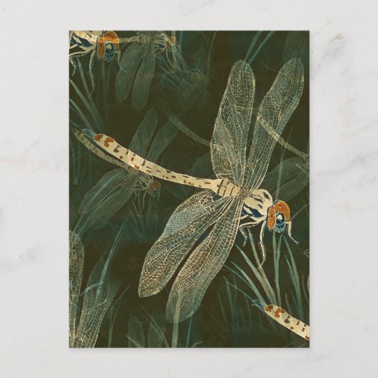 Majestic Dragonfly Pattern Briefkaart (Voorkant)
