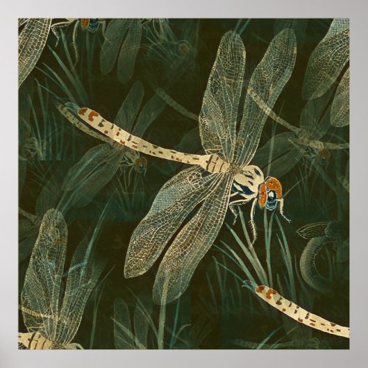 Majestic Dragonfly Pattern Poster (Voorkant)