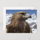 Majestic Eagle Briefkaart (Voorkant / Achterkant)