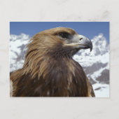 Majestic Eagle Briefkaart (Voorkant)