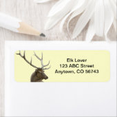 Majestic Elk Buck Etiket (Insitu)
