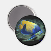 Majestic Engel Vis Magneet (Voorkant / Achterkant)