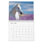 Majestic Equine Year 2026: Seizoenen van het paard Kalender (Mar 2026)