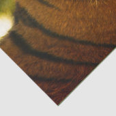 Majestic Face Tissuepapier (Detail)