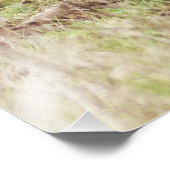 Majestic Fallow Buck Foto Afdruk (Hoek)