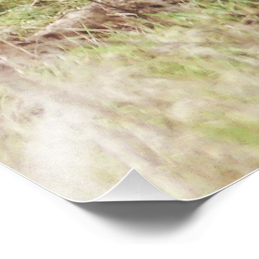 Majestic Fallow Buck Foto Afdruk (Hoek)