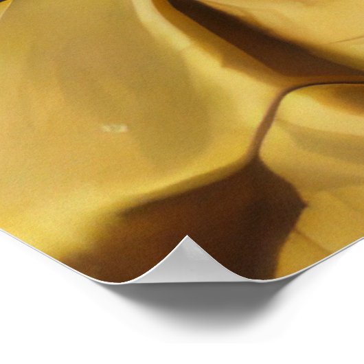 Majestic Feline in koninklijke kledij Poster (Hoek)