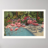 Majestic Flamingo's Print (Voorkant)
