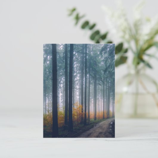 Majestic Forest Path Briefkaart (Staand voorkant)
