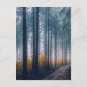 Majestic Forest Path Briefkaart (Voorkant)
