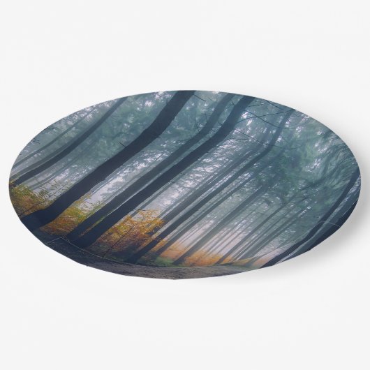 Majestic Forest Path Papieren Bordje (Gekanteld)