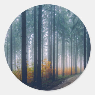 Majestic Forest Path Ronde Sticker