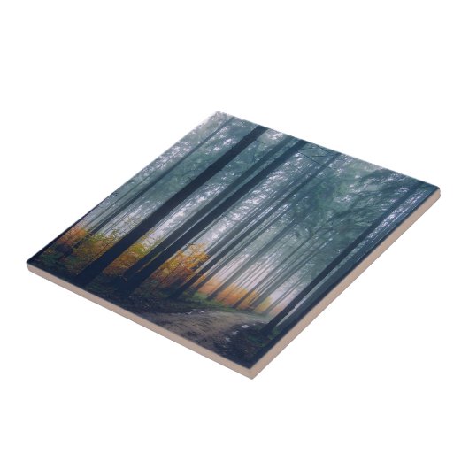 Majestic Forest Tree Lined Path Tegeltje (Zijkant)