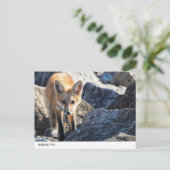 Majestic Fox Briefkaart (Staand voorkant)