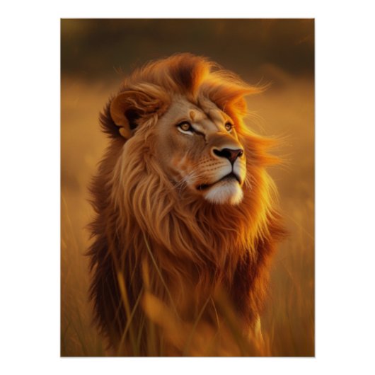 Majestic Golden Lion Sunset Glossy Poster (Voorkant)