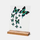 Majestic Green Swallowtail Butterfly Acryl Bord (Hoek)
