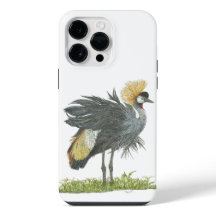 Majestic Grijze gekroonde kraanwaterkleuren