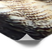 Majestic Grote Gehoornde Uil Wildlife Foto Poster (Hoek)