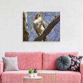 Majestic Hawk Canvas Afdruk (Insitu (Woonkamer))