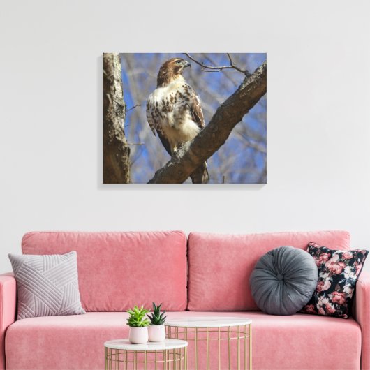 Majestic Hawk Canvas Afdruk (Insitu (Woonkamer))