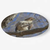Majestic Hawk Papieren Bordje (Gekanteld)