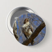 Majestic Hawk Ronde Button 7,6 Cm (Voorkant /achterkant)
