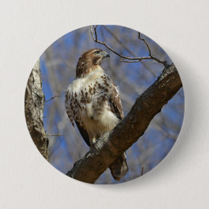 Majestic Hawk Ronde Button 7,6 Cm