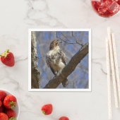 Majestic Hawk Servetten (Insitu)