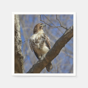 Majestic Hawk Servetten