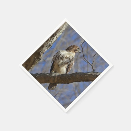 Majestic Hawk Servetten (Hoek)