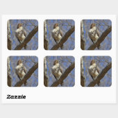 Majestic Hawk Vierkante Sticker (Vel)