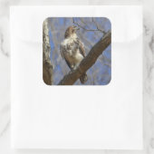 Majestic Hawk Vierkante Sticker (Tas)