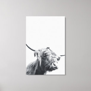 Majestic Highland koe zwart-wit Canvas Afdruk
