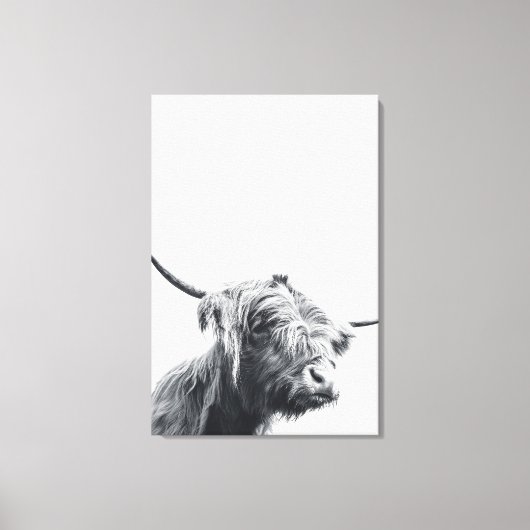 Majestic Highland koe zwart-wit Canvas Afdruk (Voorkant)