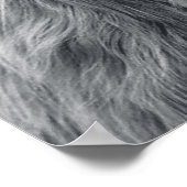 Majestic Highland koe zwart-wit Poster (Hoek)