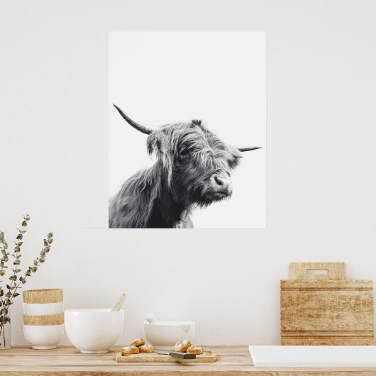 Majestic Highland koe zwart-wit Poster (Keuken)