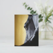Majestic Horse Eye Close-Up Art Briefkaart (Staand voorkant)