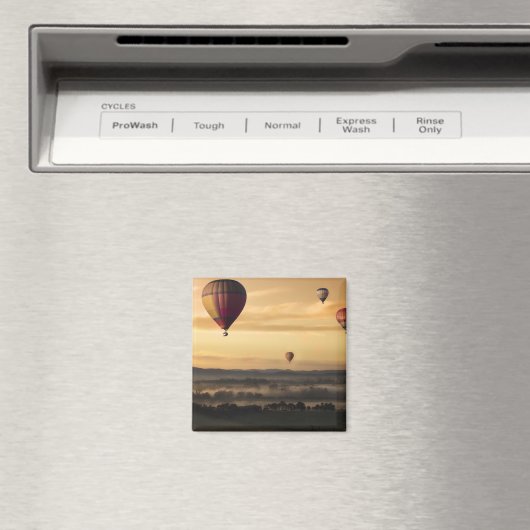 Majestic Hot Air-ballonnen Magneet (Insitu (Vaatwasser))