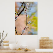 Majestic Japanse Abriotbloemen Poster (Keuken)