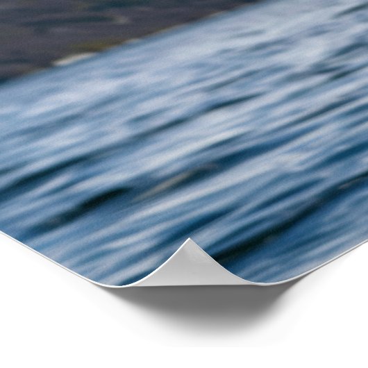 Majestic kale adelaar die laag over besneeuwd wate poster (Hoek)