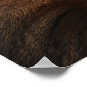 Majestic Leeuw en Leeuwin Knuffelen Fotorealisme S Poster (Hoek)