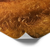 Majestic Leeuwen verenigt zich op uitgestrekt gras Poster (Hoek)