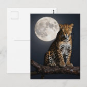 Majestic Leopard and Full Moon  Briefkaart (Voorkant / Achterkant)