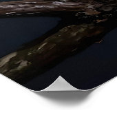 Majestic Leopard and Full Moon   Poster (Hoek)